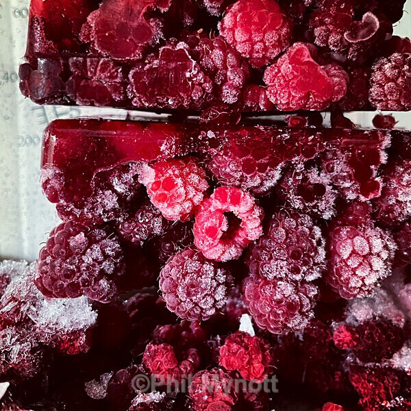 PhotoMynottART086 - Photo Mynott ART Images