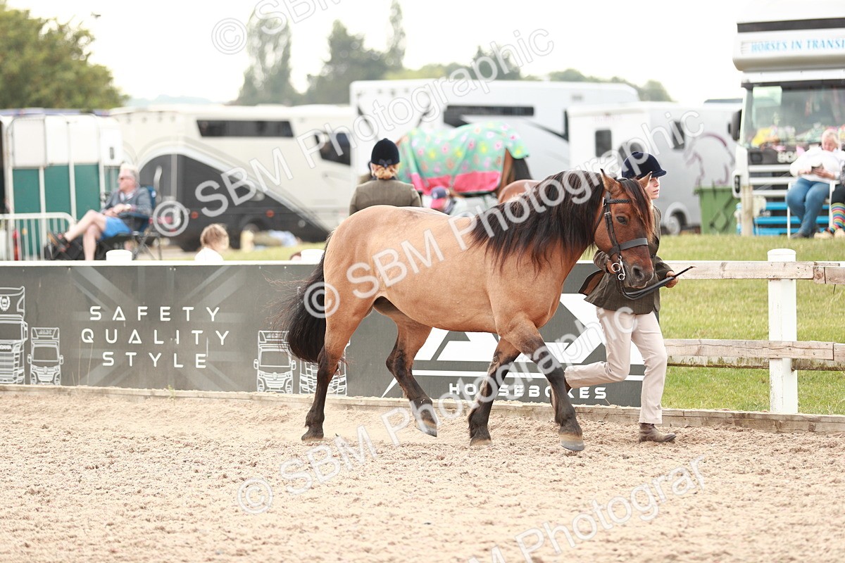 SBM_12458 - Class 207 IH M&M