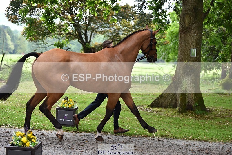 240522-165642-01273 - 282-COOLEY_CORNASUS-Tom_Jackson