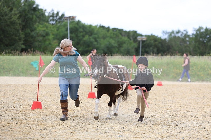 3E7A9480 - Walk trot run