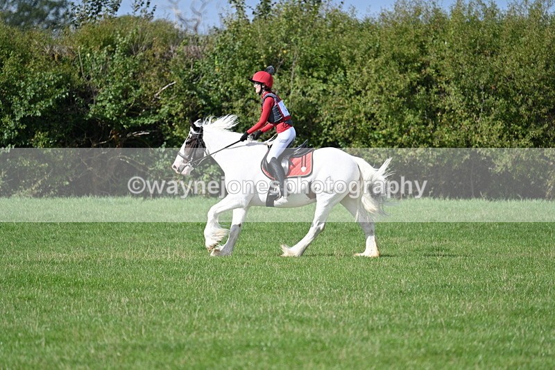 WJ7_8950 - Time 11:10 to 11:53