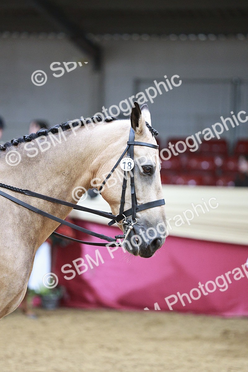 SBM_03422 - Class 6A Area Ridden Pre-Vet