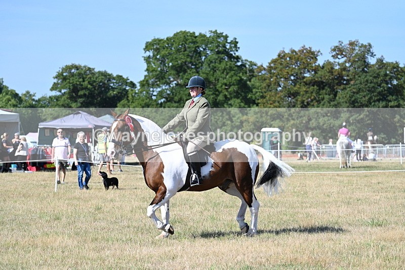 WJ7_3275 - Class 8 Ridden Tack & Turnout