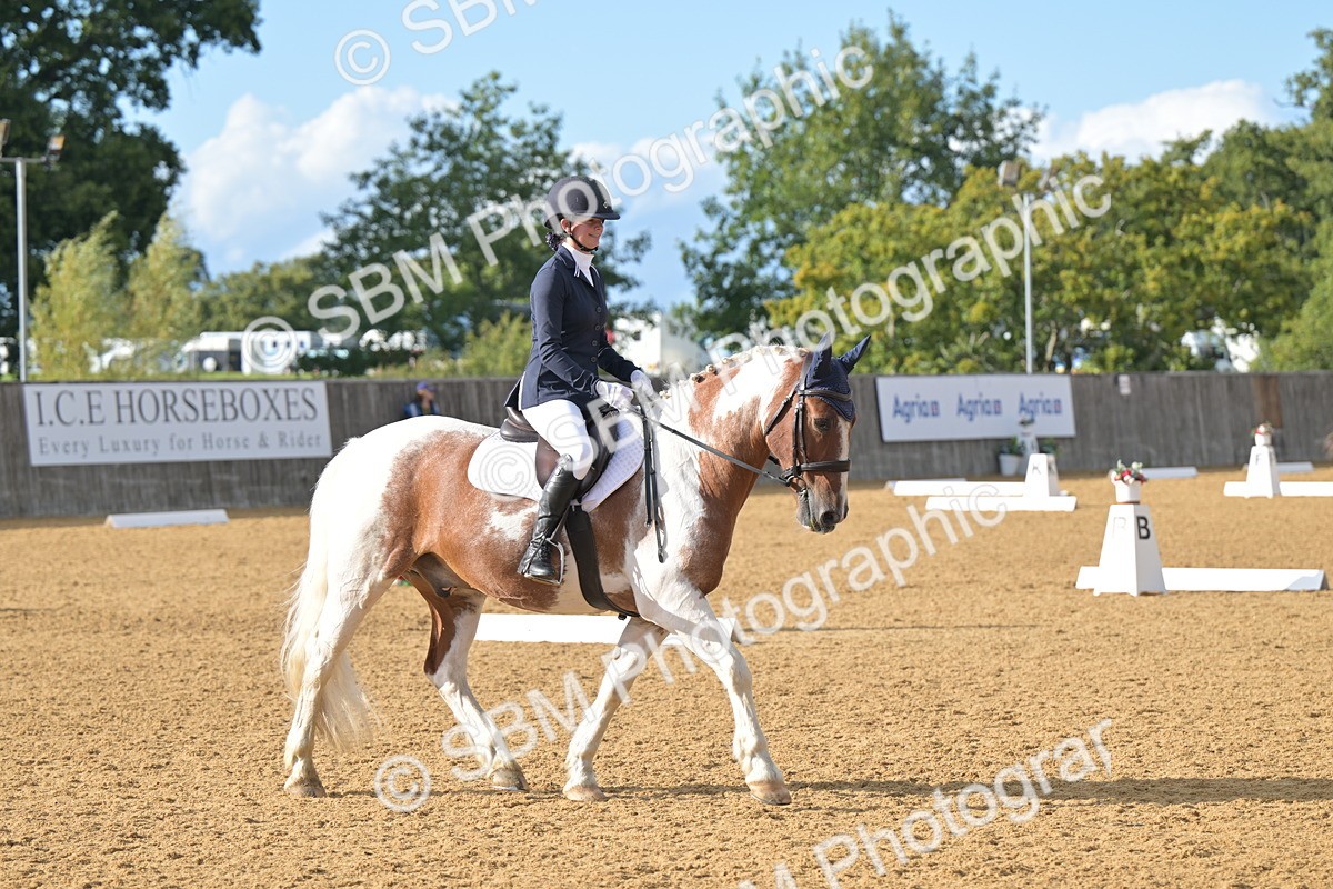 SBM_12923 - D3 - Small Tour Championship Intro 3