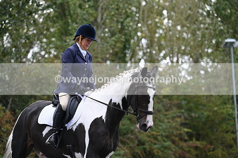 WJ7_3485 - Time 09:54 to 10:54