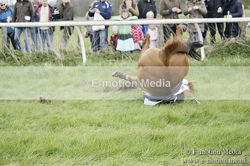 PtP 170417 41 - Old Berks Point-to-Point Lockinge 17/04/17