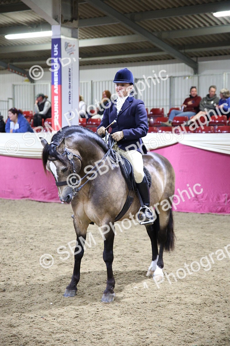 5K7A1544 - Class N M&M Champ