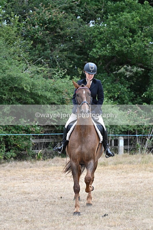 WJ7_0834 - Class 7 Riding Club Show Horse