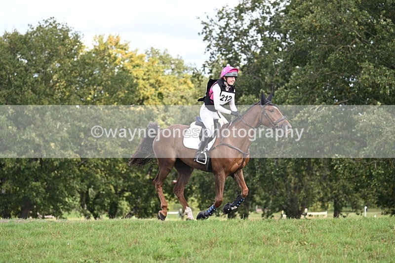 WJ7_0816 - Time 12:02 to 12:30