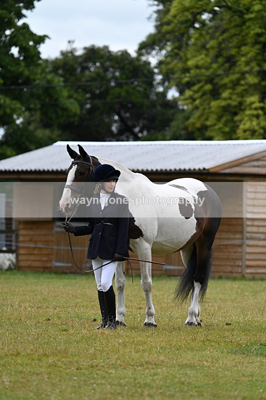 WJ7_6317 - Class 4a Prettiest Mare over 14hh