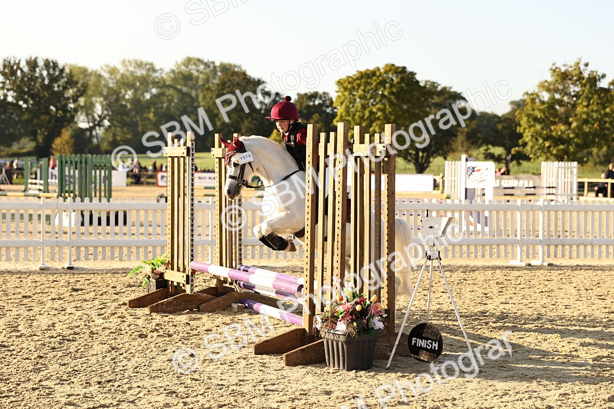 SBM_57250 - J11 - Junior Pony 50cm Championship
