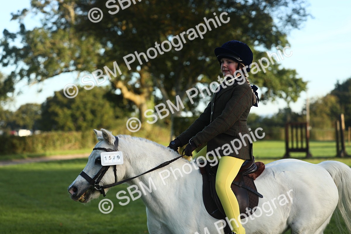 SBM_31772 - S28 - Nursery Stakes Working Hunter Pony