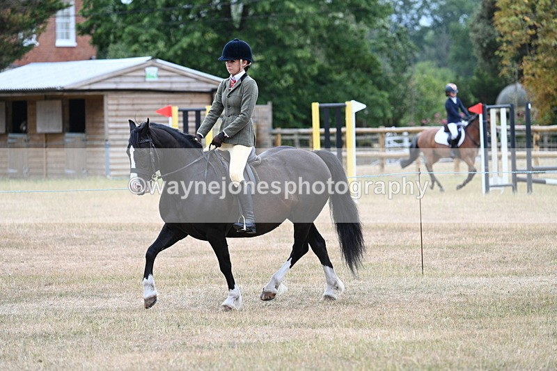 WJ7_0332 - Class 6 Ridden Mountain and Moorland