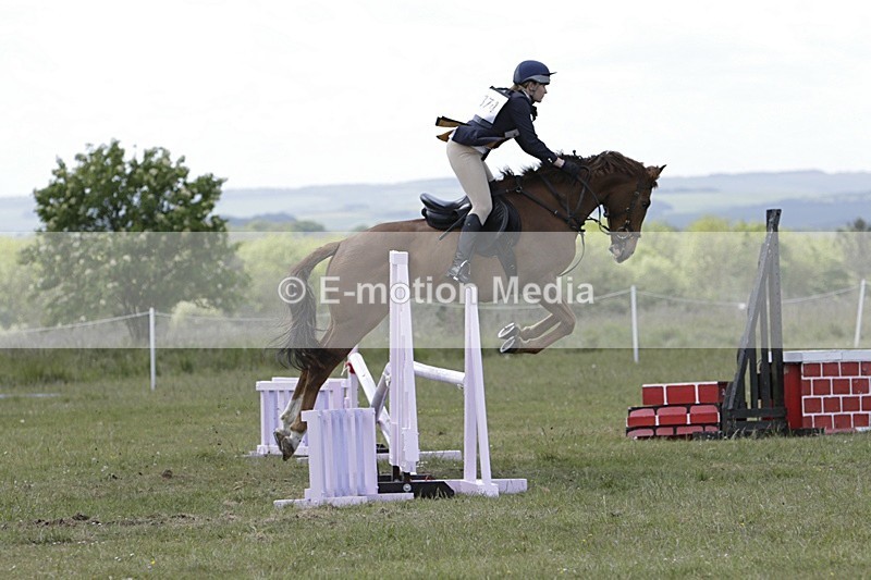 BVHT 140517 N-324 - Class 2 SJ Novice 14/05/17