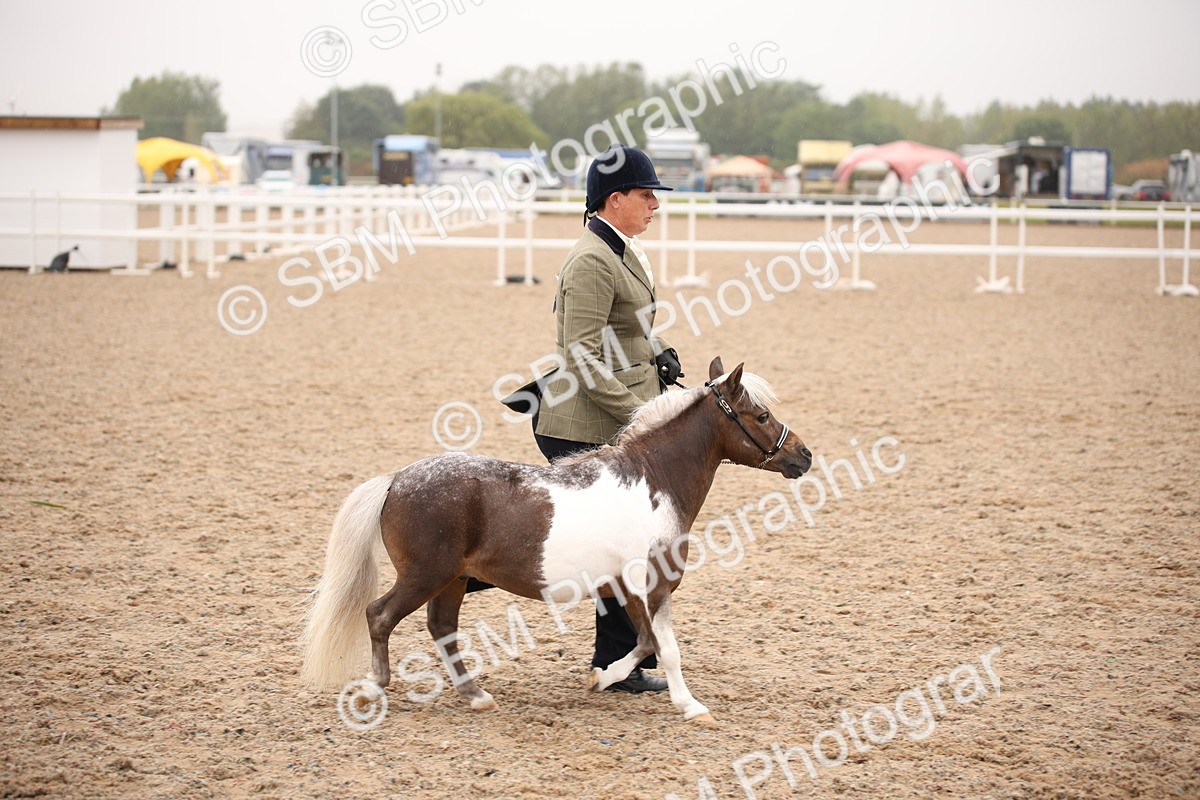 SBM_20162 - Class 703 - IH  Coloured