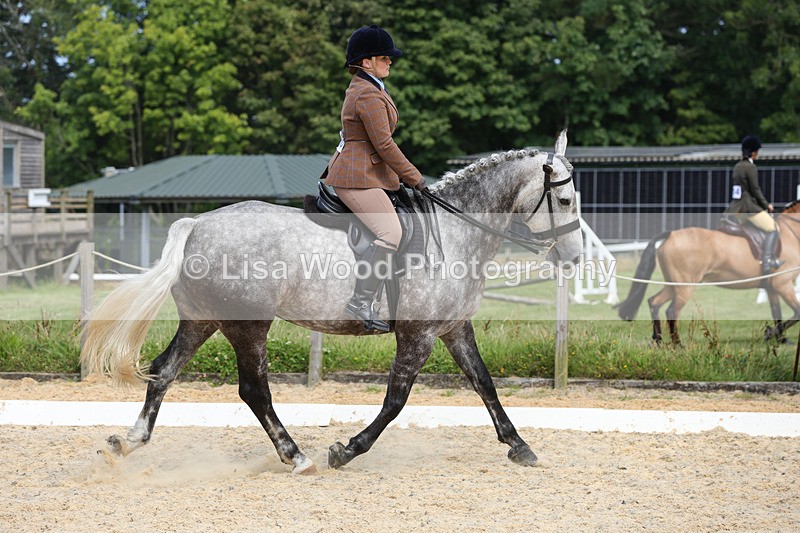 1X9A8398 - Ridden Championship