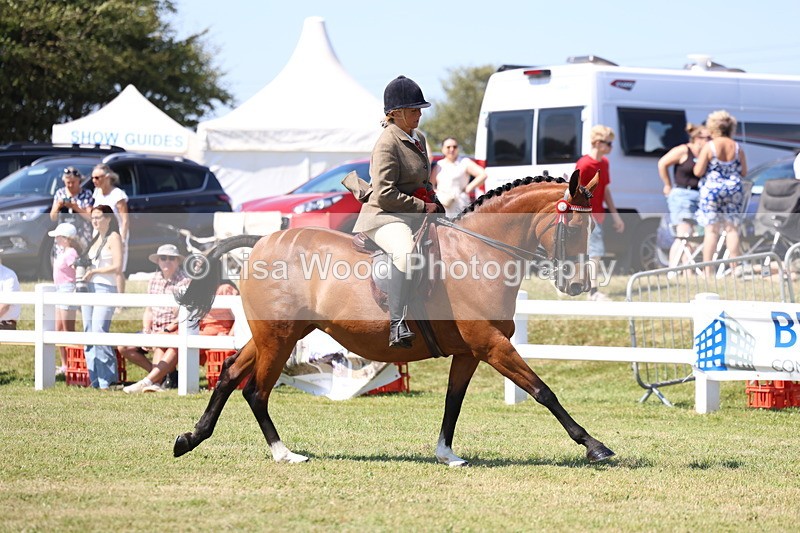 3E7A7511 - Rising Star Ridden Championship