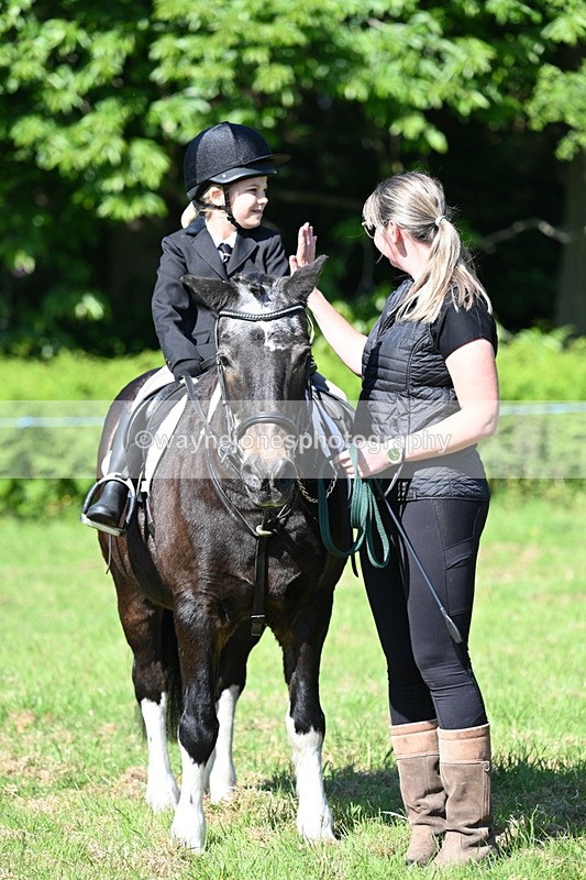 WJ7_0470 - Class 8 First Rally Pony