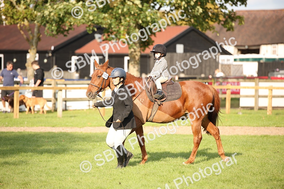 SBM_54288 - S27 - Mature Veteran - Ridden