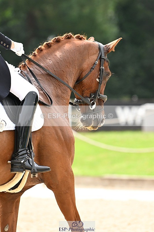 240811-133941-06123 - 127-Sarah.Stewart-DJoe.DiMaggio