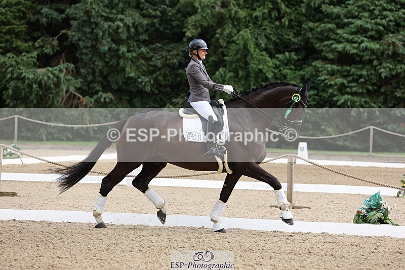 240810-132106-03307 - Medium Gold