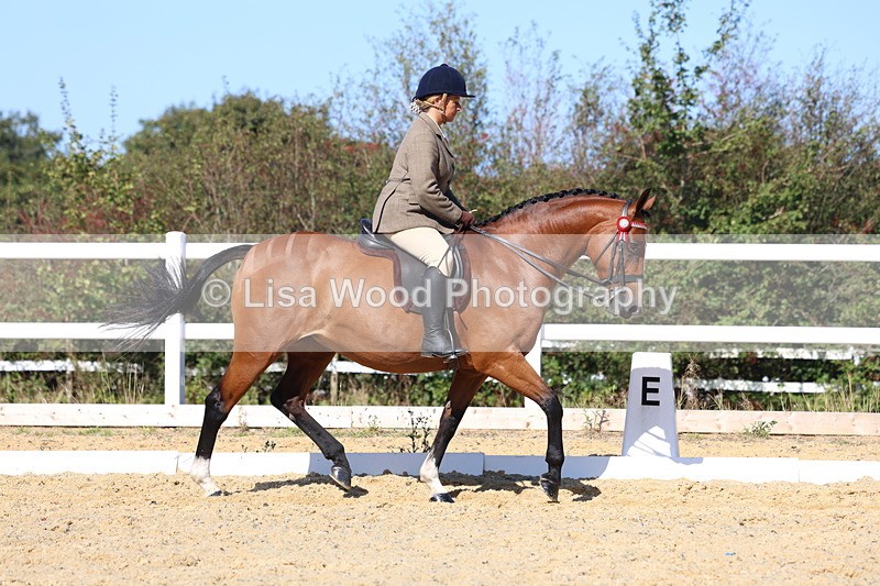 3E7A5670 - Class 10: Riding Horse