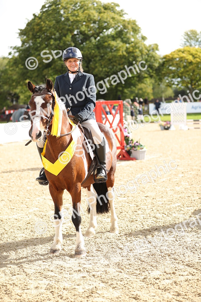 SBM_02042 - J34 - Veteran Rider 50cm