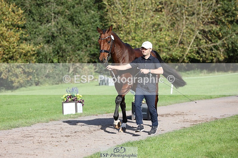 241027-103110-15936 - 584-Tommy.Greengard-I'M.ALL.IN