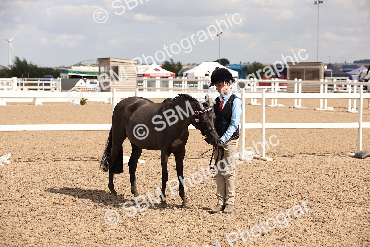 SBM_03772 - Class 19 Judge's Favourite