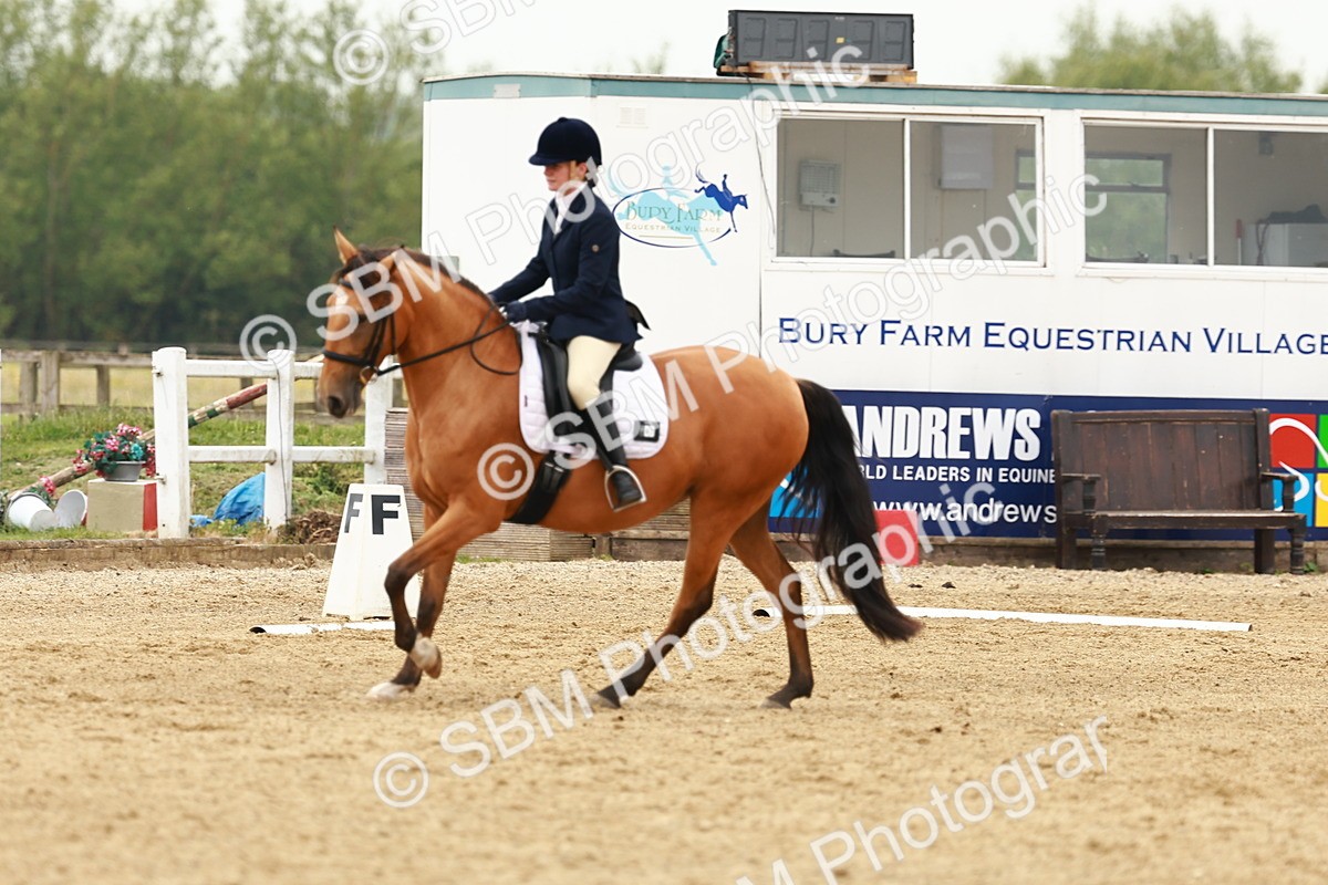 SBM_001037 - Class 6 - Novice 4
