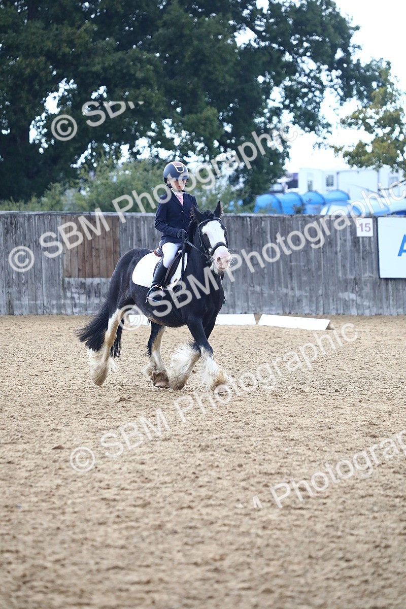 SBM_42589 - D21 - Junior Championship Intro 1