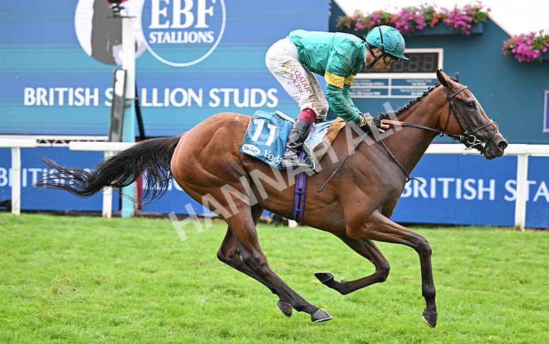 200826-139 Prizeland - Race 5 16.10pm British EBF & Sir Henry Cecil Galtres Stakes