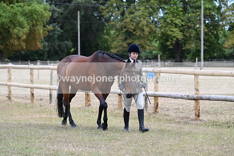 WJ7_8954 - Class 4a Prettiest Mare 14.2hh and over