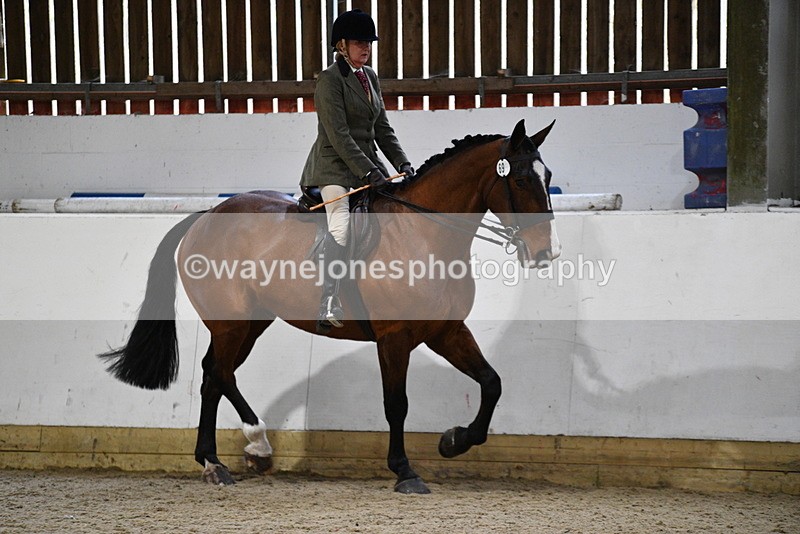WJ5_8987 - Class 15 Ridden Show Horse