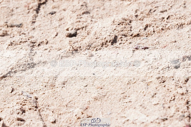 250427-124602-16469 - Cls 20 - 1 Star Silver Tour