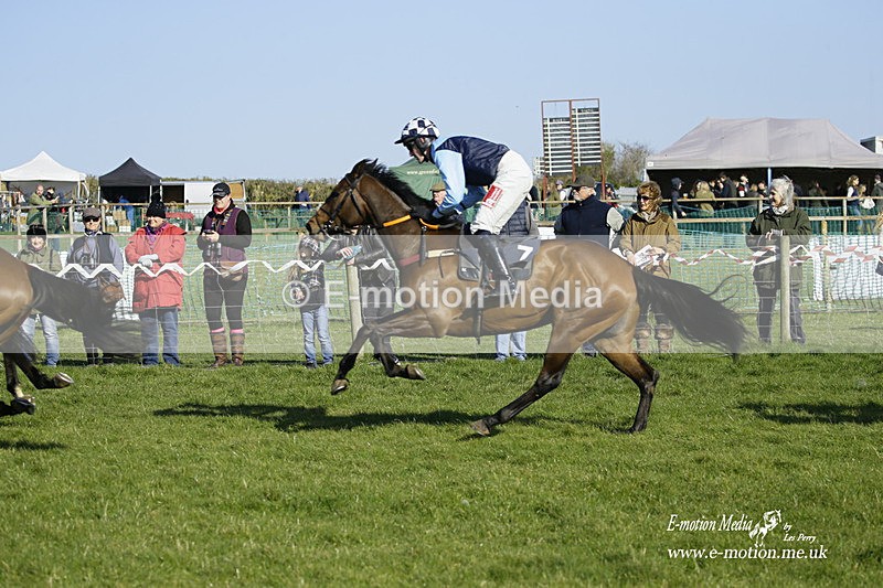 PtP 190322 698 - Wilton Hunt PtP Milborne St Andrew 19/03/22