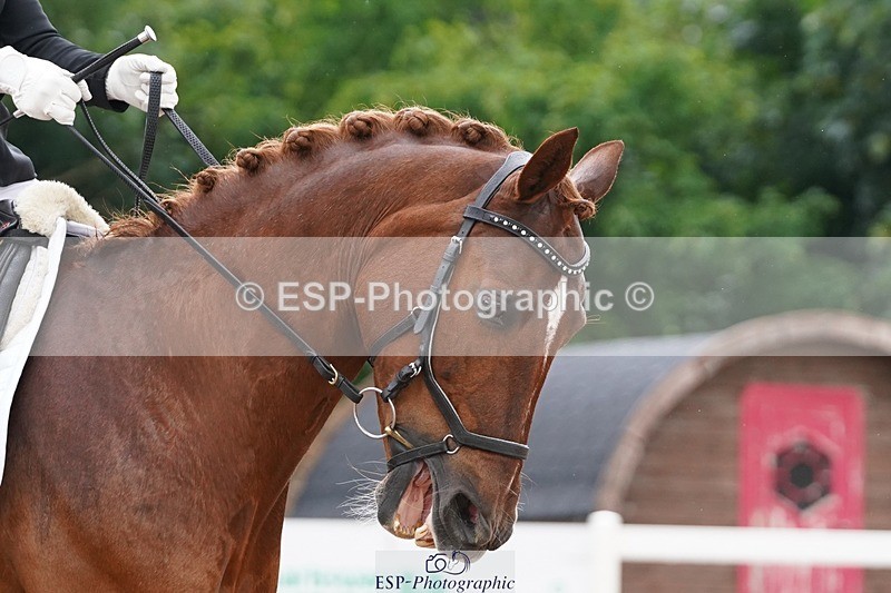 250622-122500-15839 - Cls 58 Freestyle Adv Medium Inc Presentations