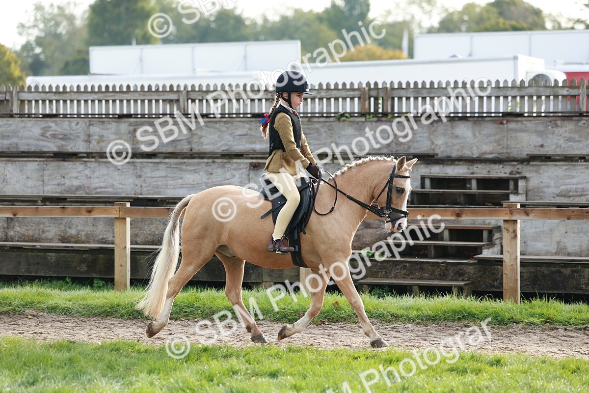 SBM_56330 - S39 - Starters In Hand Showing
