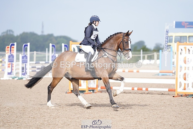 240831A-102108-00234 - 057-Bella.Balian-BEECHWOOD.JOEY