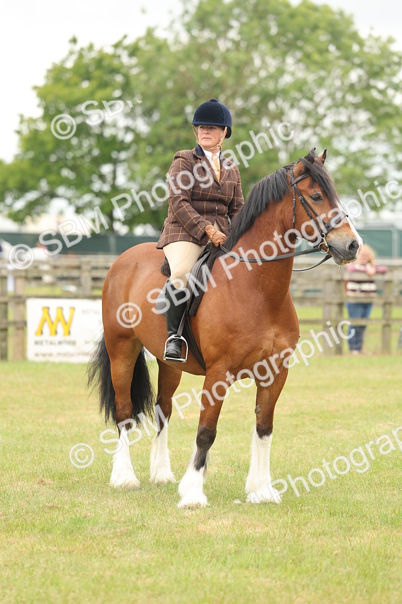 SBM_07255 - Class 76-77 - Ridden M&M Welsh Ponies