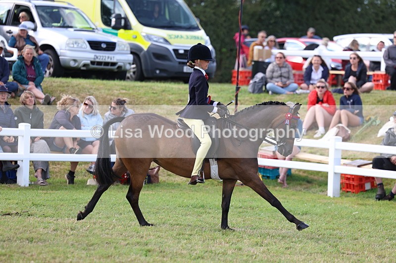 3E7A3849 - Supreme Championship