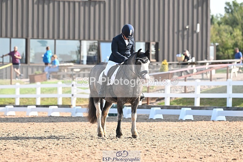 250816-091142-02854 - 055-Neve.HollowaySD.Out.of.the.Blue