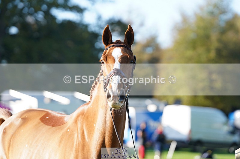 241026-101758-11757 - 010-Julia.Norman-SCOTCH.ON.THE.ROCK'Z