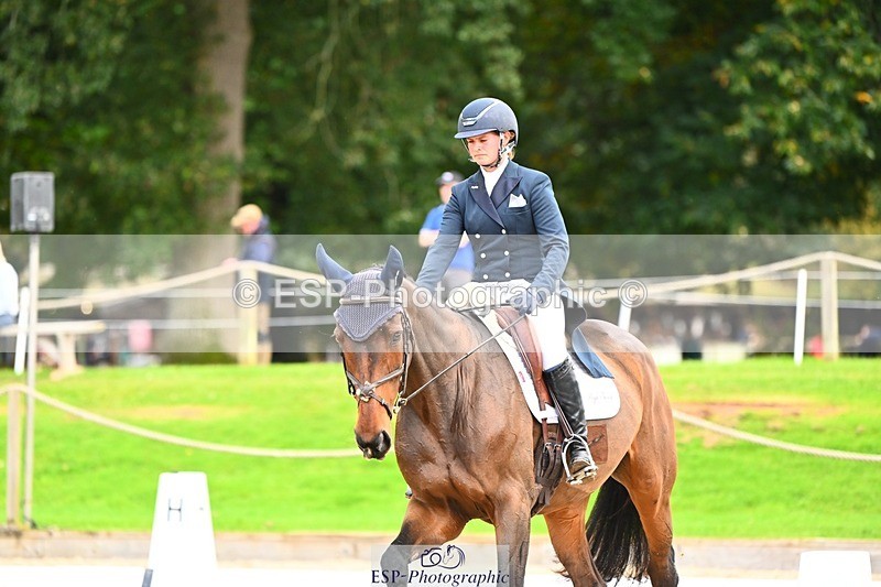 231020-150728-10102 - 312-HALVANNA.THE.LAST.SONG-Holly.Horton-DR