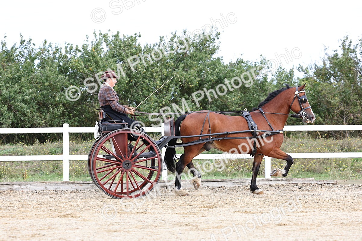 SBM_000741 - Class 6 - Exercise Vehicle 13.2 and over