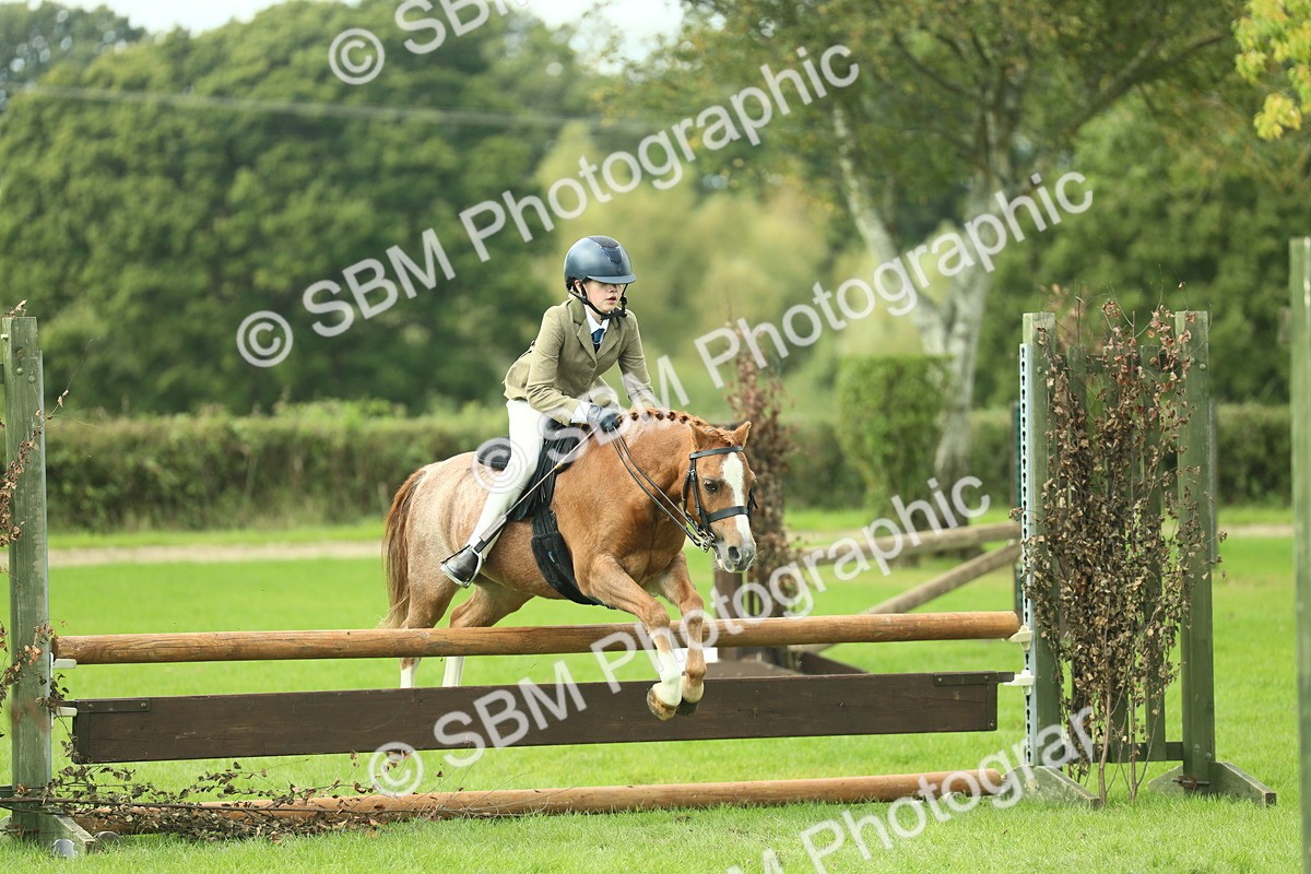 SBM_44684 - S31 - Working Hunter Pony