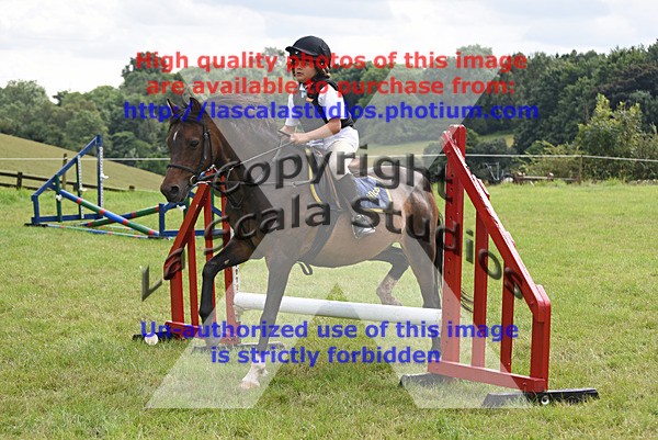 SNCP_0108 - AA Group