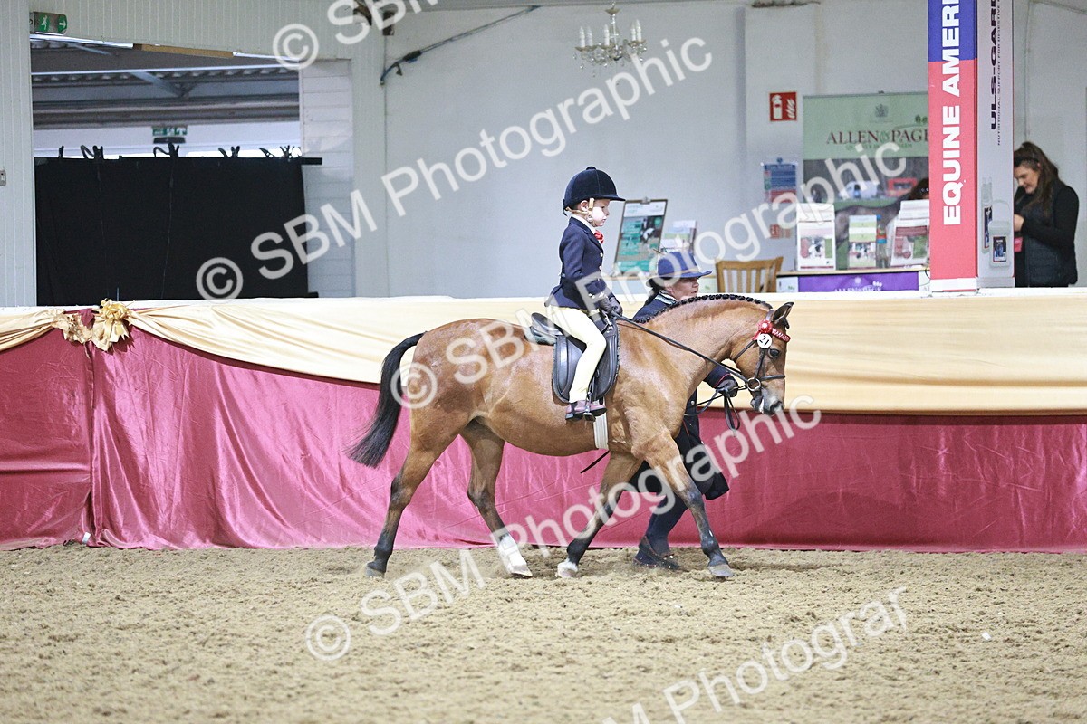 SBM_08062 - Class 11R - Regional Ridden Veteran