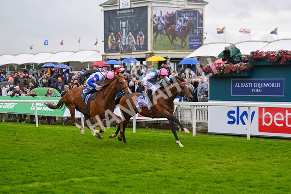 150624-Race 3-Klondike-7109 - Race 3 3.00pm Sky Bet Race To The Ebor Grand Cup Stakes