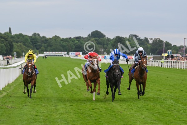 270724-Race 1-Alflaila-6983 - Race 3 3.15pm Sky Bet York Stakes